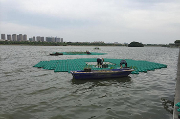 水上浮岛安装工程