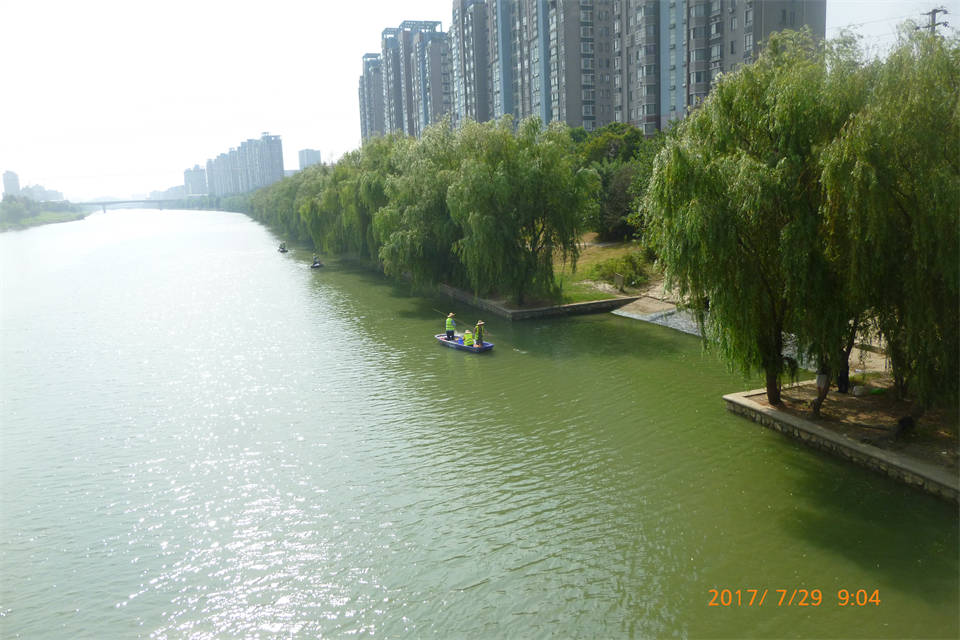 秦淮河流域蓝藻治理