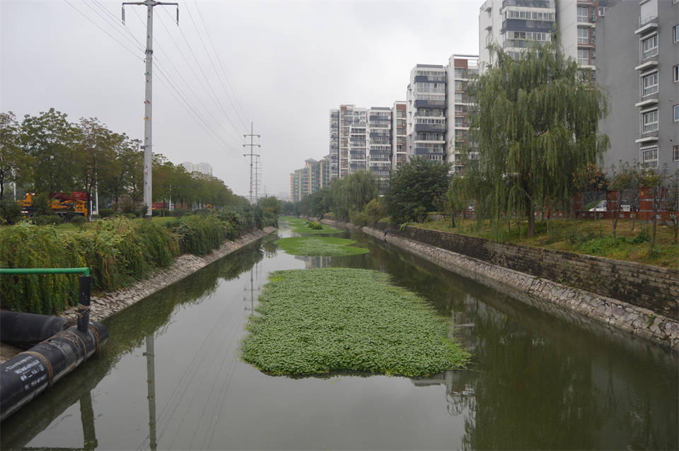 纵沟水体应急治理