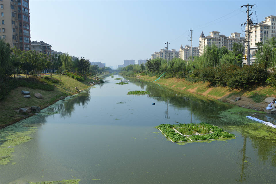 中心河水质提升