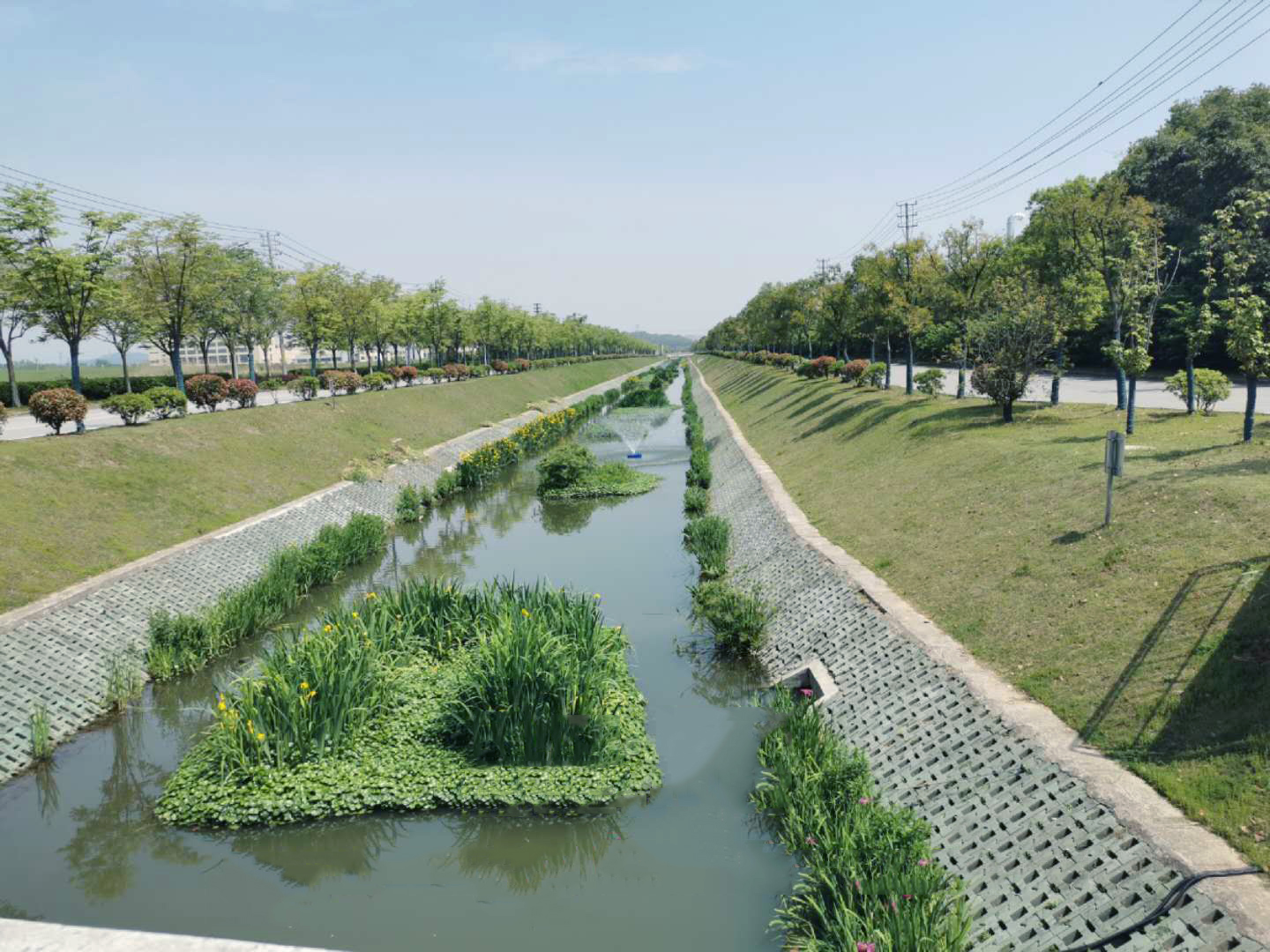 西京沟打捞漂浮，蓝藻