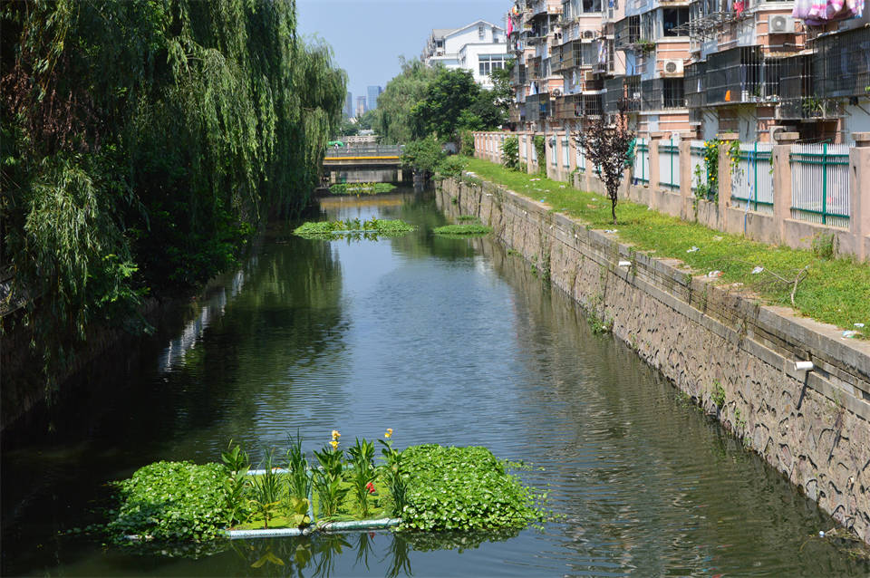 开发区三横沟生态修复