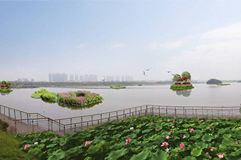 九龙湖景观布置